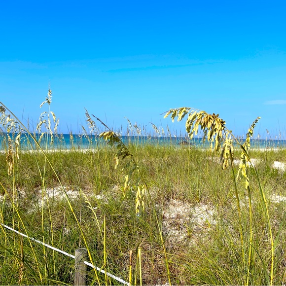 Meet your Posher, Janet - Picture 2 of 2